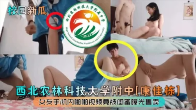 用视频下面简阶的)